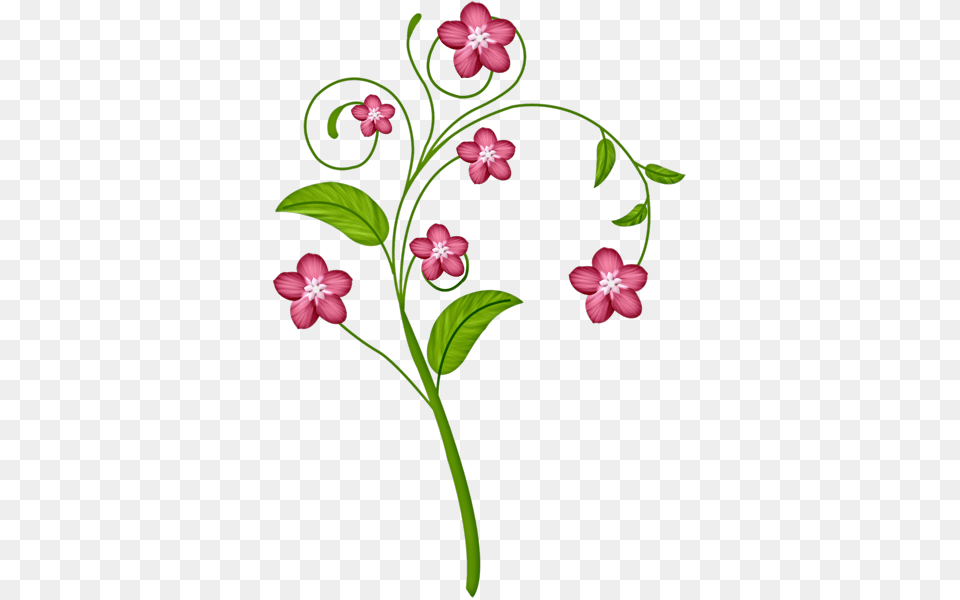 Dcd Prch Forget Me Not Flower Flowers Clip Art, Floral Design, Graphics, Pattern, Plant Png