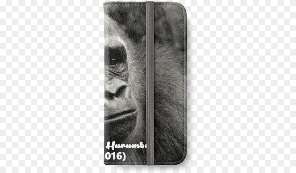 Dcks Out For Harambe Iphone Wallet Macaque, Animal, Ape, Mammal, Wildlife Png