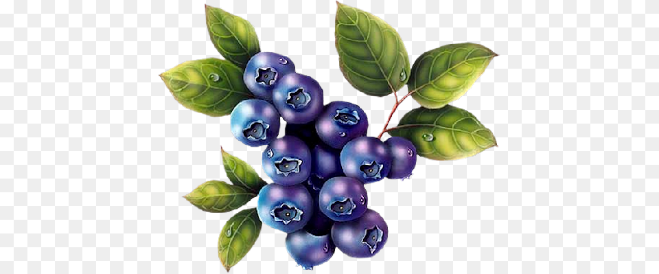 Dcorations Diverses Wild Blueberry Clipart, Produce, Berry, Plant, Fruit Free Png