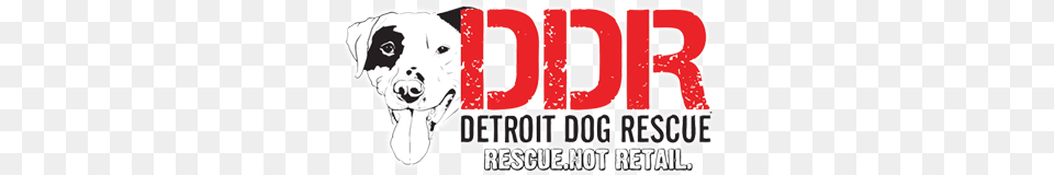 Ddr, Animal, Canine, Dog, Pet Free Transparent Png