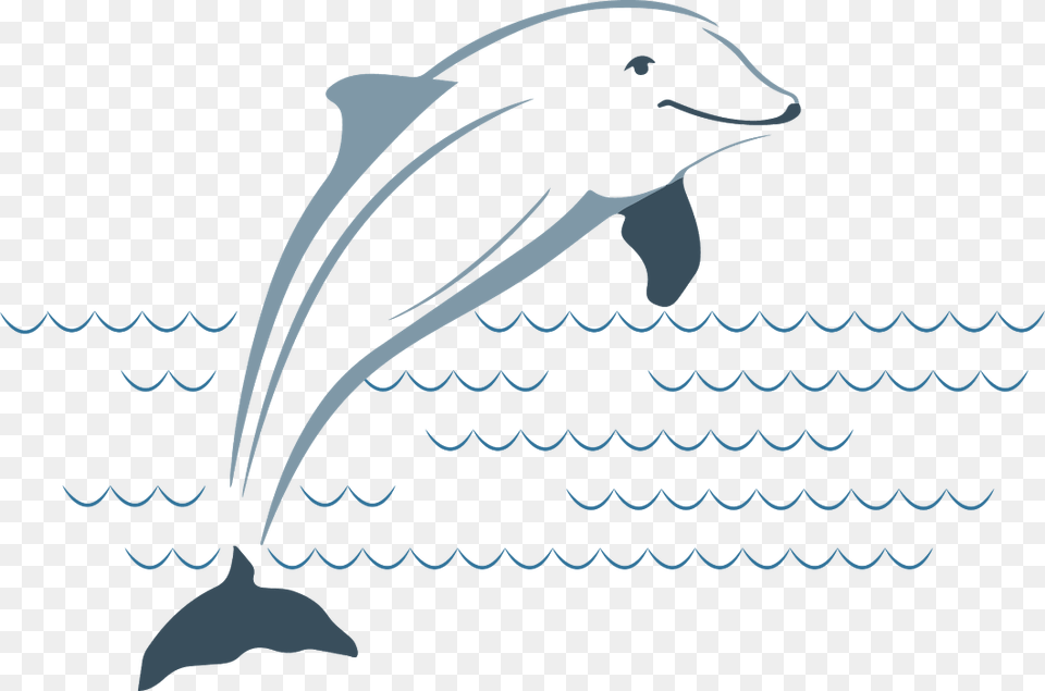 Dds Vs Dolphin Clipart Library Stock Plumbing, Animal, Mammal, Sea Life, Adult Free Png