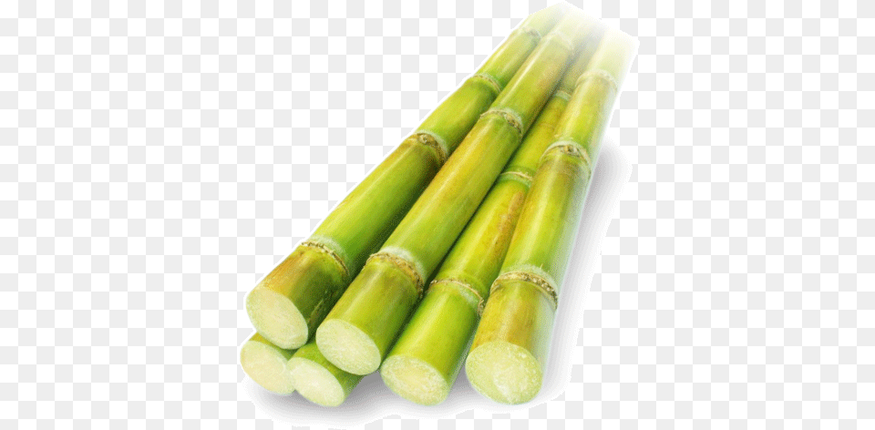 De Azucar, Bamboo, Plant Free Png