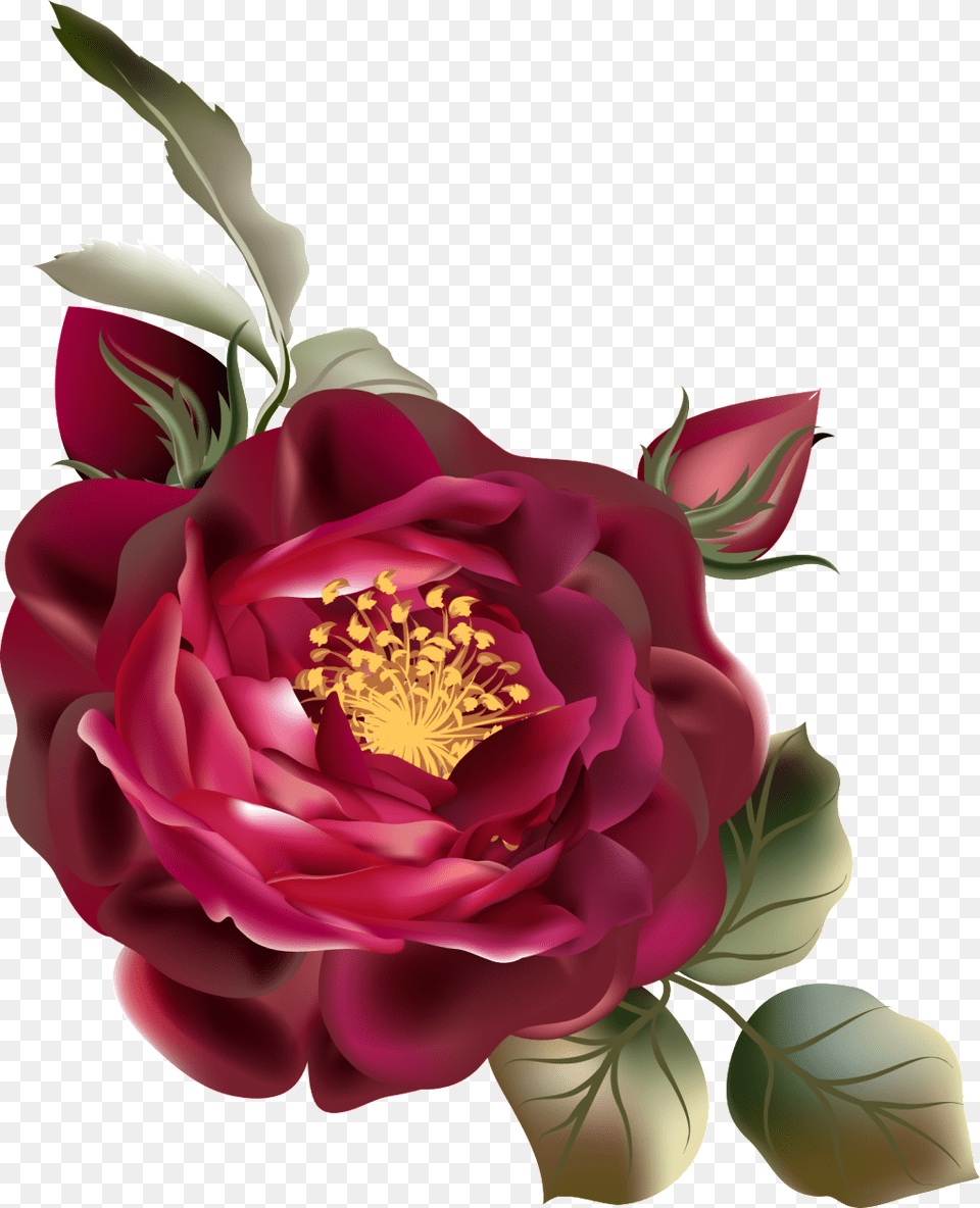 De De Cor De Rosa Vermelha Vintage Flor Vermelha, Rose, Plant, Flower, Flower Arrangement Free Png Download