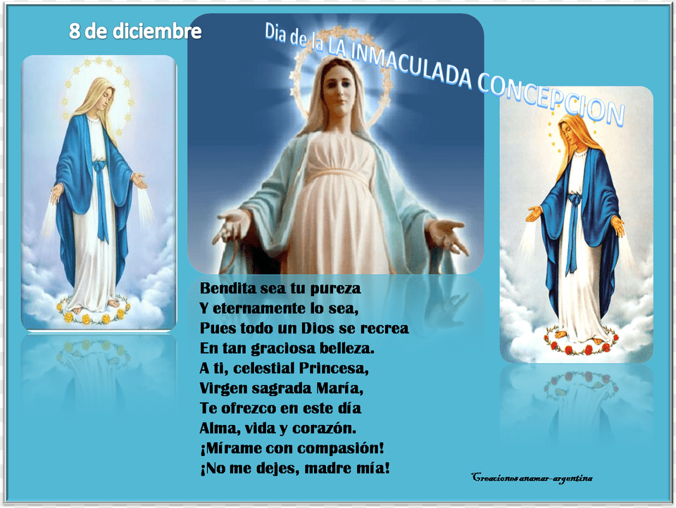 De Diciembre Dia De La Inmaculada Concepcion De Maria Blessed Virgin Mary Hd, Advertisement, Poster, Adult, Person Free Transparent Png