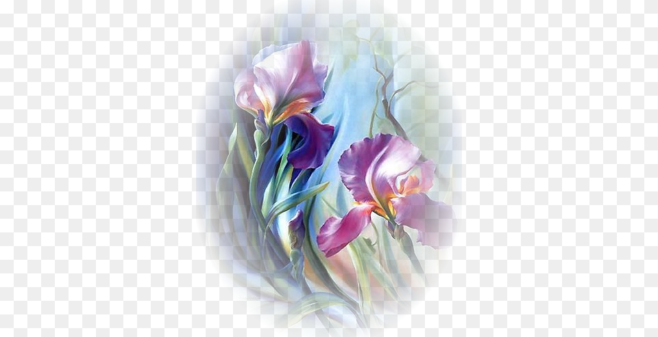 De Fleurs Vector Library Stock Irisi Foto, Flower, Petal, Photography, Plant Png