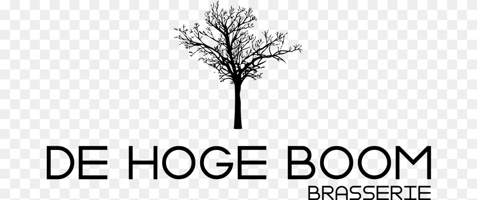 De Hogeboom Monochrome, Gray Free Png