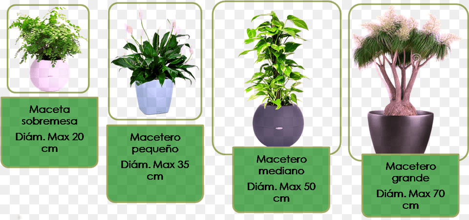 De Las Plantas, Vase, Pottery, Potted Plant, Planter Free Transparent Png