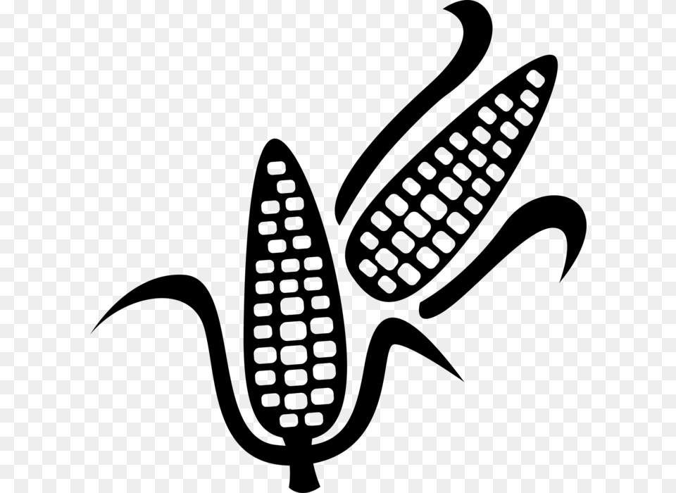De Maz En La Mazorca Libres De Derechos Ilustraciones Corn Vector, Gray Png Image