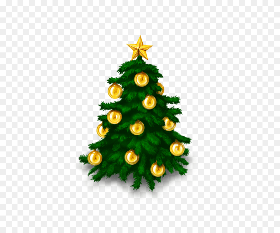 De Natal Para Baixar Gratis E Vetor, Plant, Tree, Christmas, Christmas Decorations Png