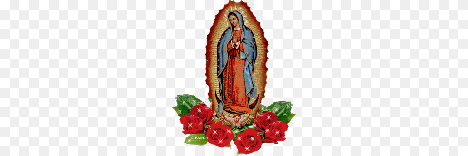 De Nuestra De Guadalupe De La Virgen Para El, Rose, Plant, Flower, Flower Arrangement Free Transparent Png