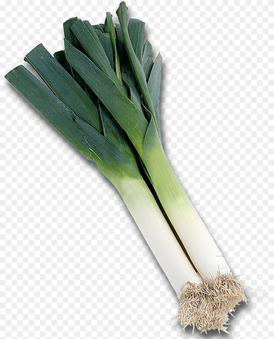 De Poireau A Imprimer, Food, Leek, Plant, Produce Free Png Download