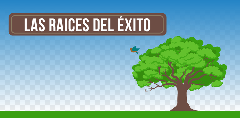 De Qu Se Compone El Xito Tree, Oak, Plant, Sycamore, Vegetation Png