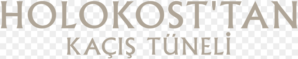 De Turismo Dos, Text, Logo Png