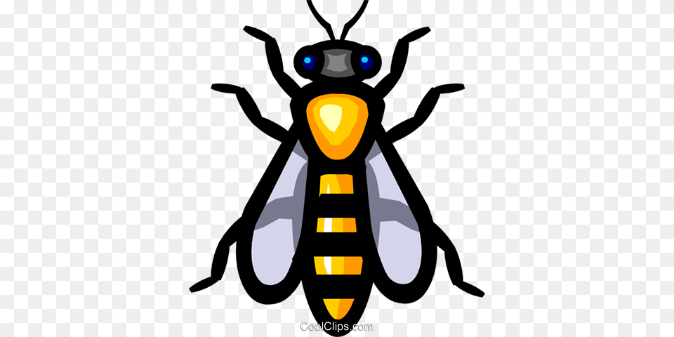 De Uma Vespa Livre De Direitos Vetores Clip Art, Animal, Bee, Insect, Invertebrate Free Png