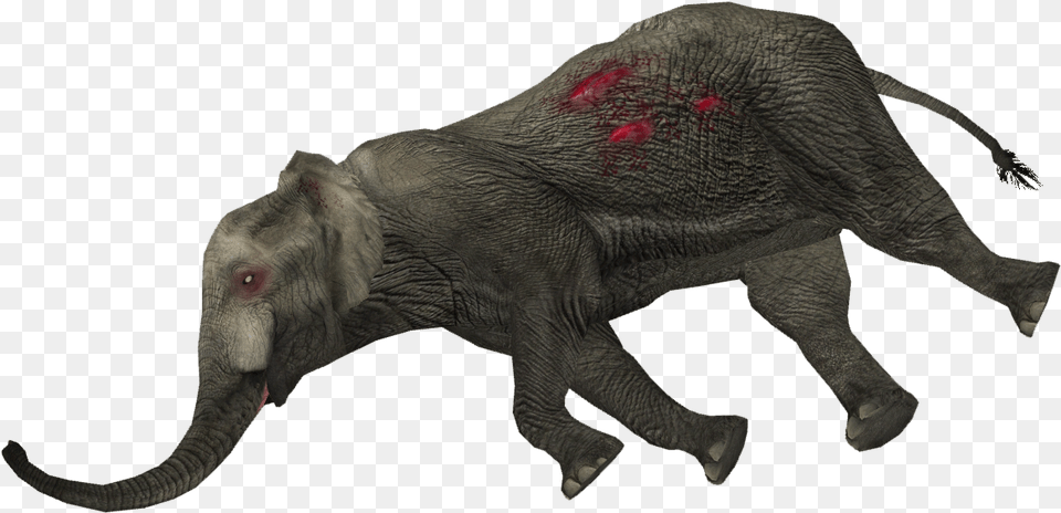 Dead Animal Animalpng Images Pluspng Dead Animals, Elephant, Mammal, Wildlife Free Png