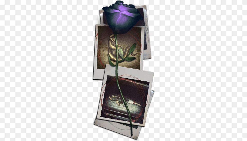 Dead Body Falls Picture Frame, Flower, Plant, Rose, Art Png