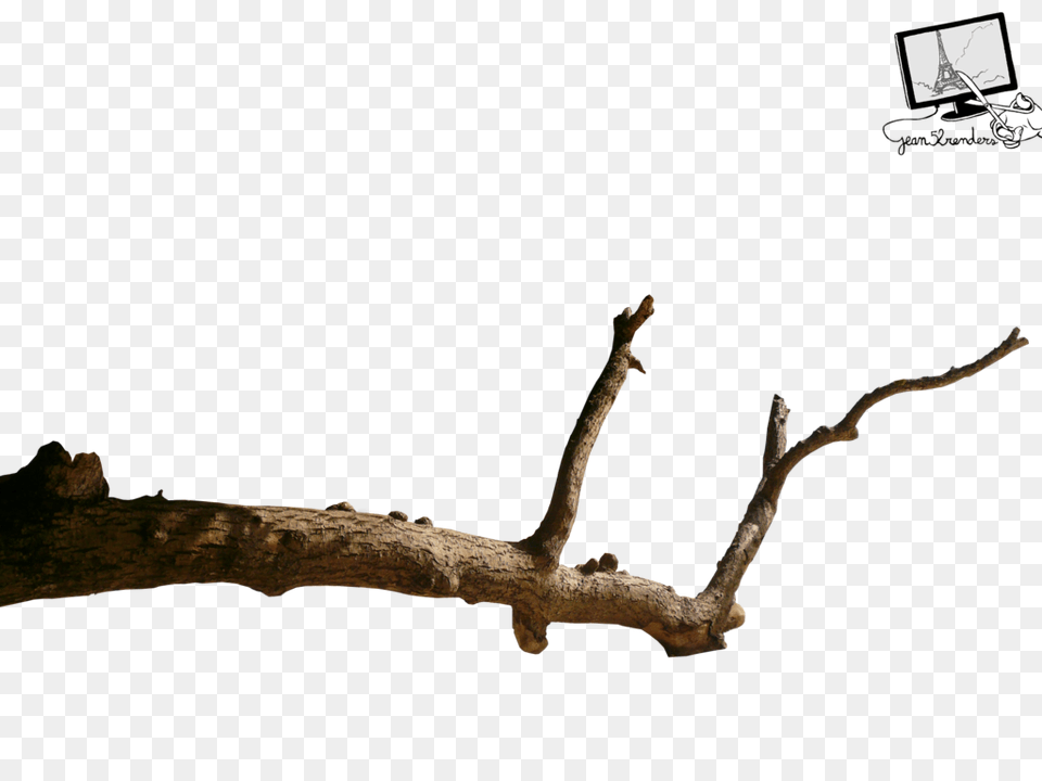 Dead Branch Image, Plant, Tree, Tree Trunk, Wood Free Png Download