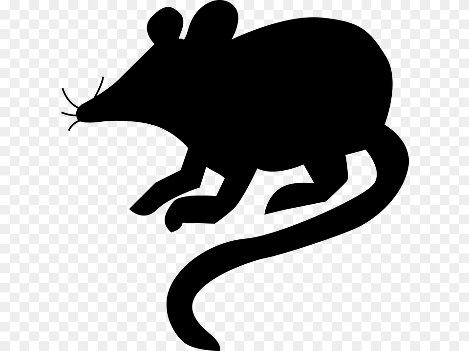 Dead Clipart Dead Mouse, Gray Png Image