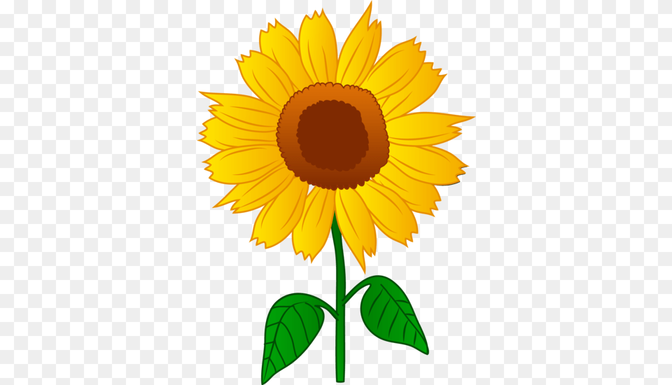 Dead Clipart Sunflower, Flower, Plant, Daisy Png