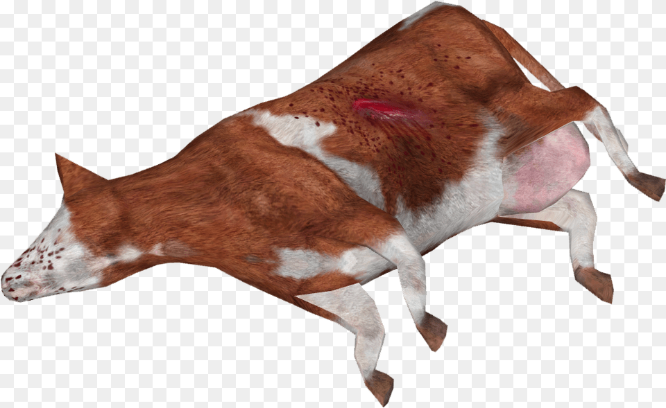 Dead Cow Dairy Cow, Animal, Cattle, Livestock, Mammal Free Png