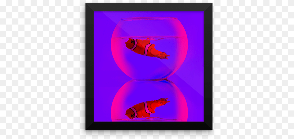 Dead Fish Framed Poster Circle, Sphere, Purple, Person, Baby Png Image