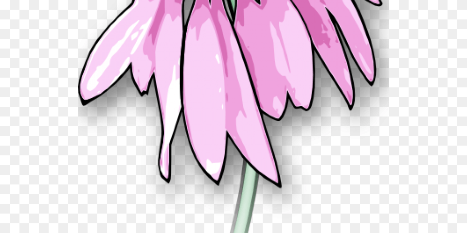 Dead Flower Clip Art, Daisy, Petal, Plant, Dahlia Free Transparent Png