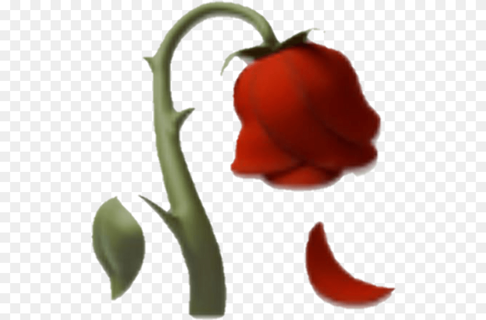 Dead Flower Dead Rose Emoji, Petal, Plant, Person, Food Free Png Download