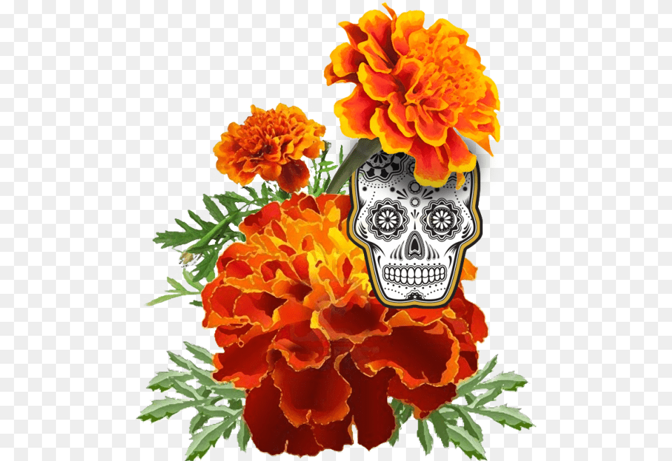 Dead Flower Graphic Freeuse Files Dia De Los Muertos Marigold, Plant, Petal, Dahlia, Rose Free Png Download