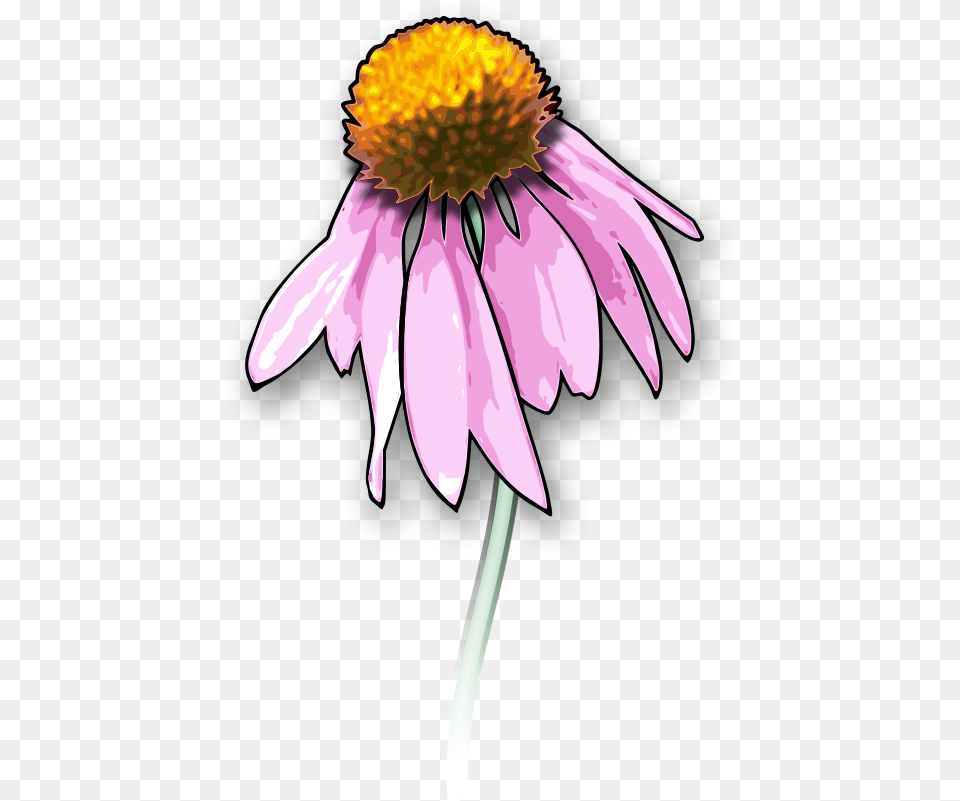 Dead Flowers Clipart, Anther, Daisy, Flower, Petal Free Png