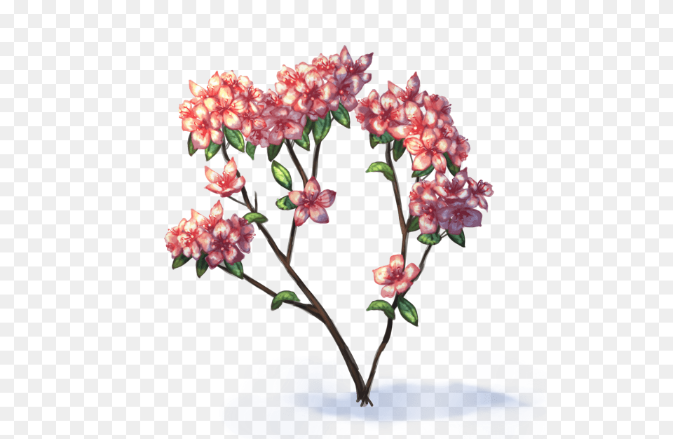 Dead Flowers Simple Azalea Flower Drawing, Flower Arrangement, Plant, Geranium, Pattern Free Png Download