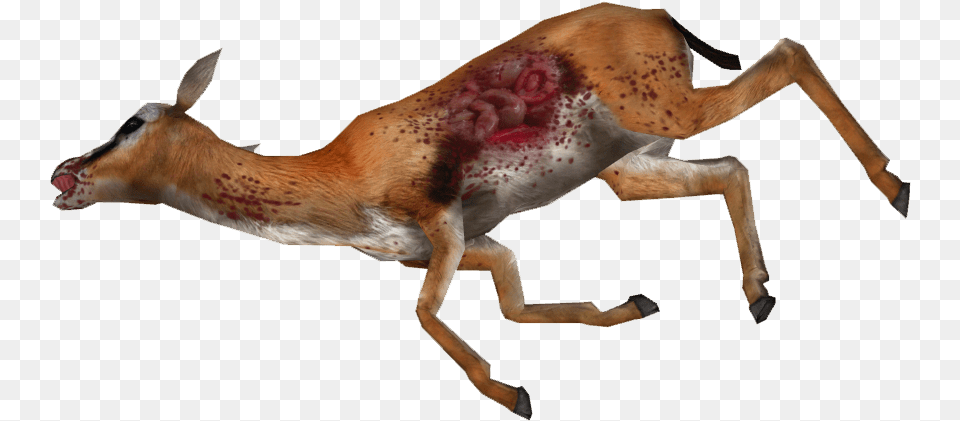 Dead Gazelle, Animal, Antelope, Impala, Mammal Free Png