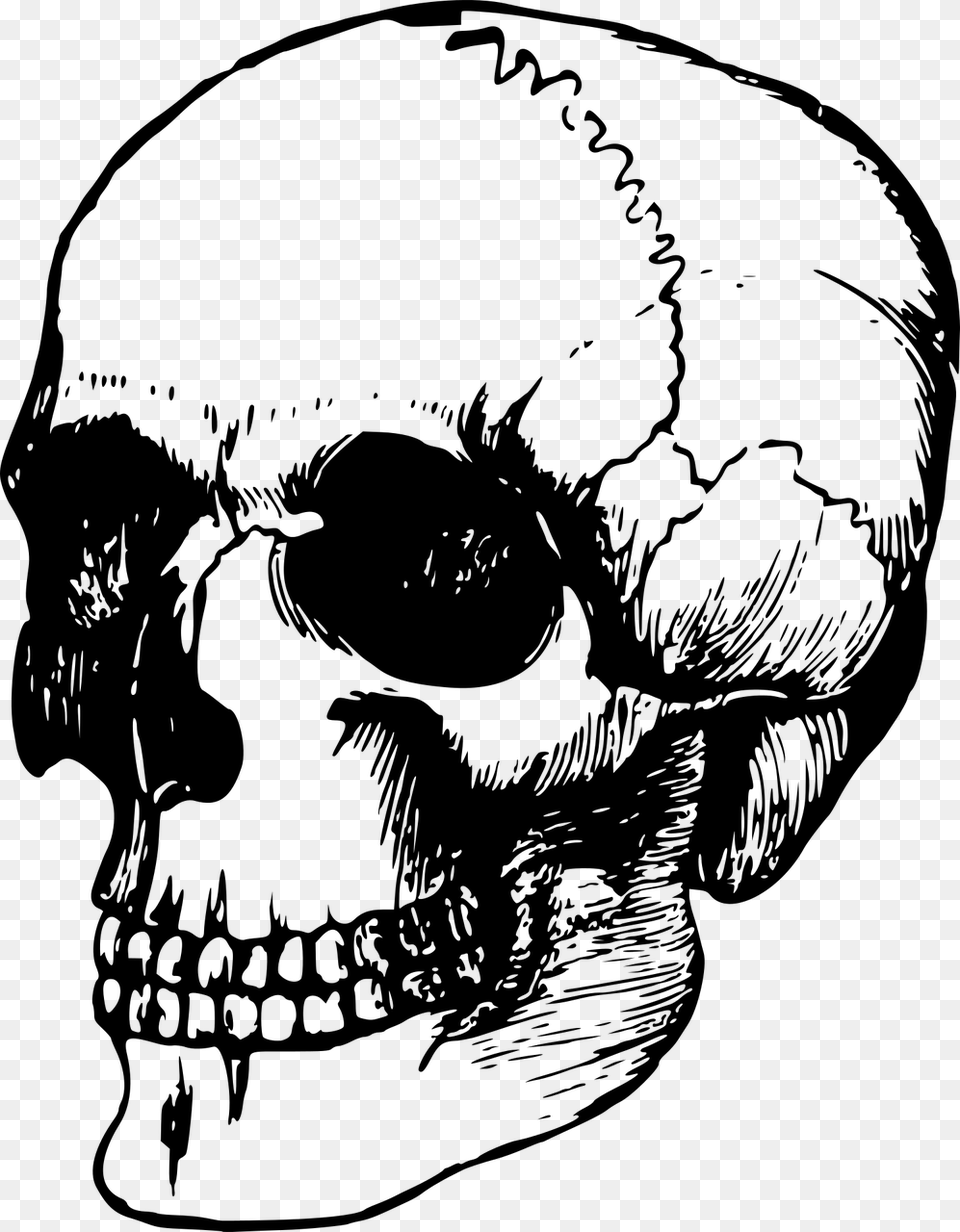 Dead Head, Gray Free Png Download