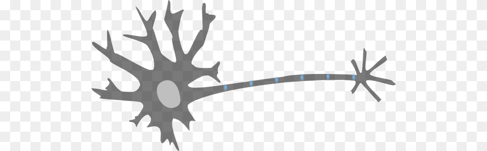 Dead Neuron Clip Art, Leaf, Plant, Stencil, Animal Free Png