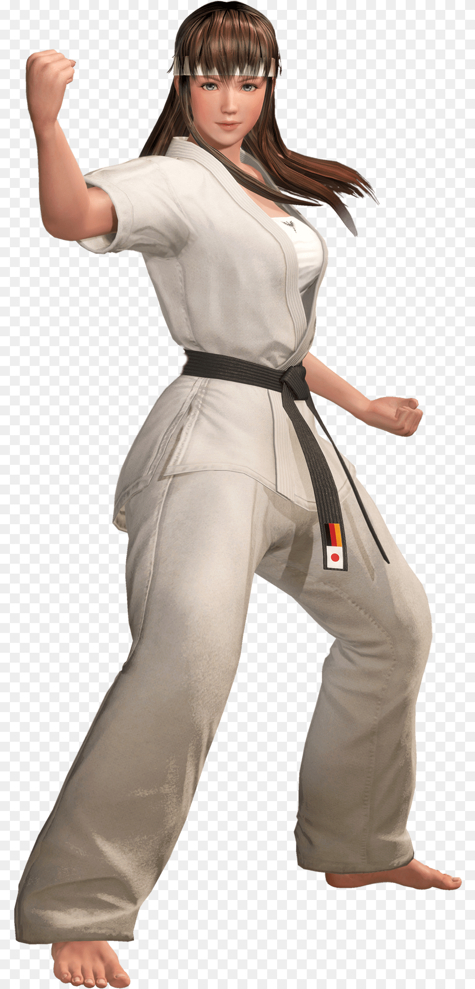 Dead Or Alive Wiki Dead Or Alive Hitomi Karate, Adult, Sport, Person, Martial Arts Free Transparent Png