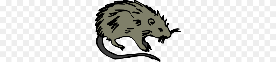 Dead Possum Clipart, Animal, Baby, Mammal, Person Free Png Download