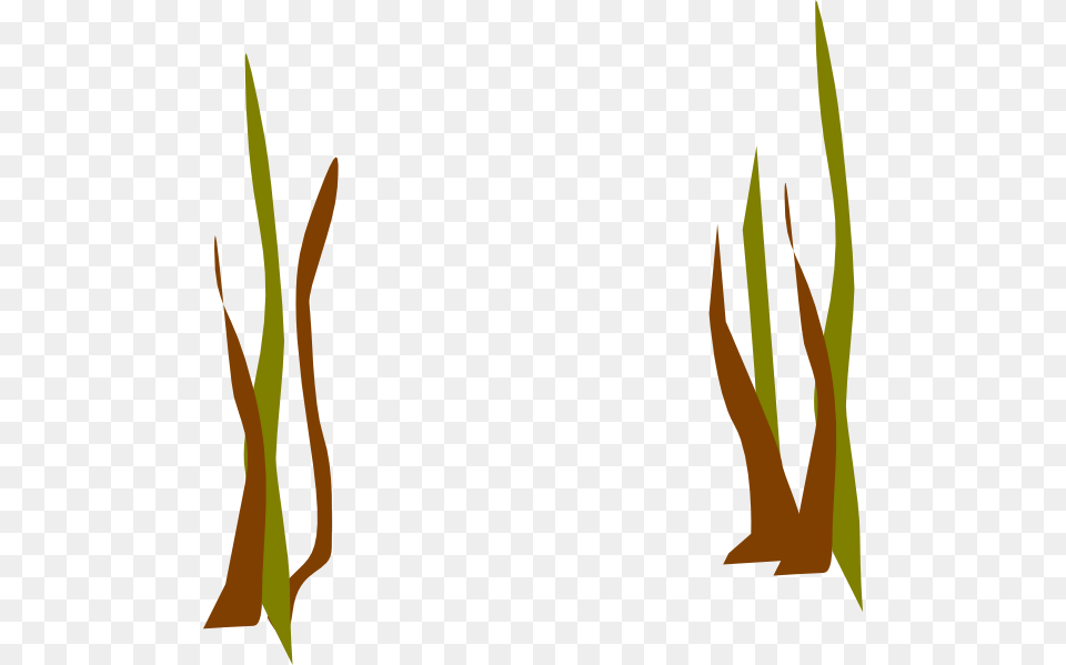 Dead Reeds Clip Art, Grass, Plant, Leaf Free Transparent Png