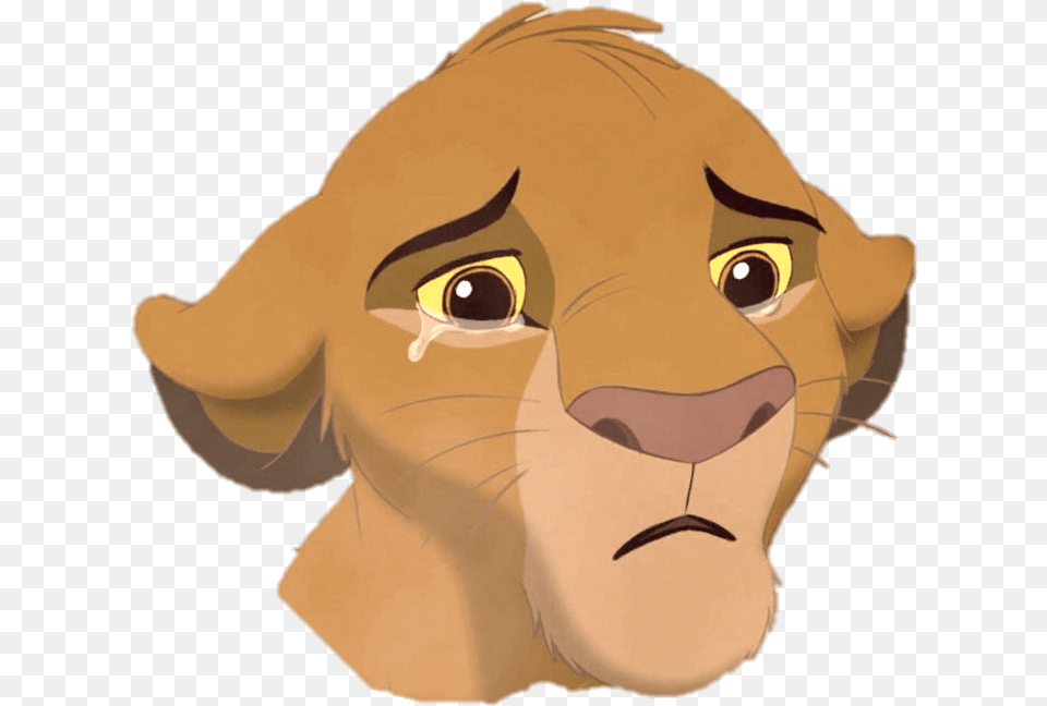 Dead Rising Clipart Lion Lion King Sad Simba, Baby, Person, Cartoon, Face Png