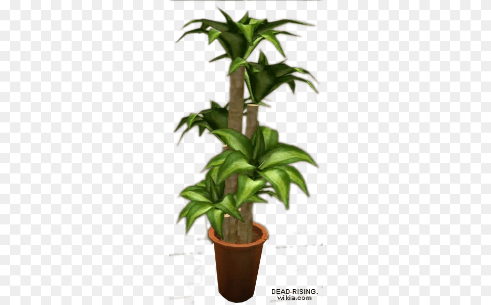Dead Rising Potted Plant 6 Potted Plants File, Potted Plant, Tree, Leaf Png Image