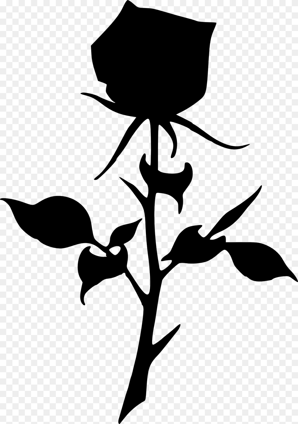 Dead Rose Clipart, Silhouette, Flower, Plant, Stencil Free Transparent Png