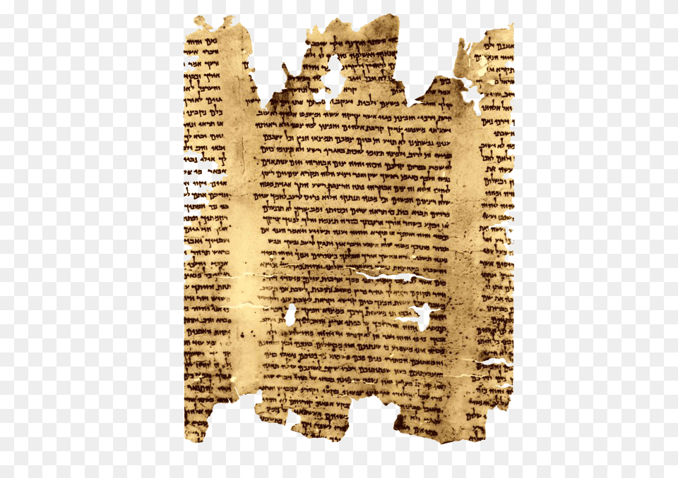 Dead Sea Scrolls Papel Medio De Comunicacion, Text, Page, Animal, Bird Free Png