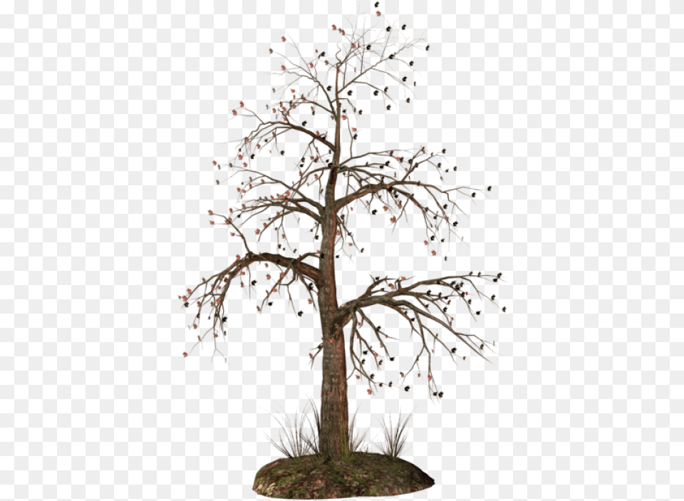 Dead Tree, Plant, Potted Plant, Wood, Tree Trunk Png