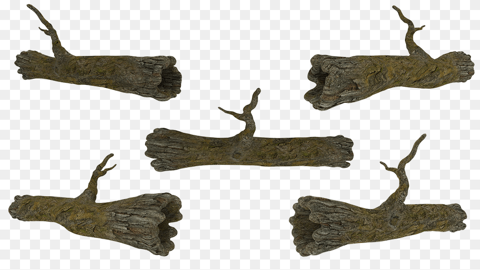 Dead Tree, Plant, Wood, Driftwood, Animal Free Png