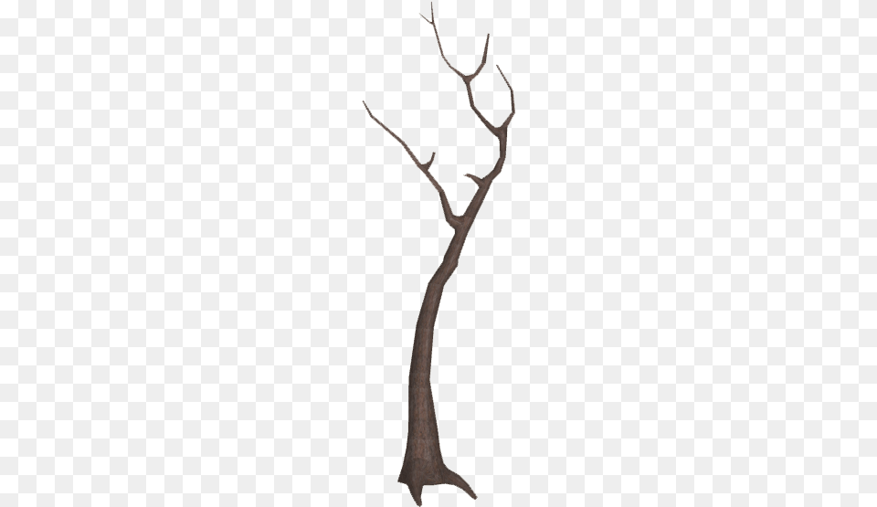 Dead Tree 5 Illustration, Antler, Bow, Weapon Png Image