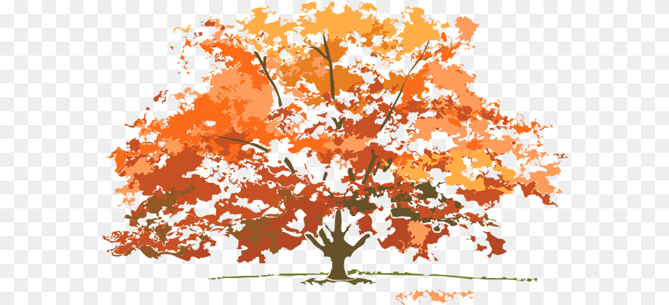 Dead Tree Autumn Trees Clip Art, Leaf, Maple, Plant, Oak Png Image
