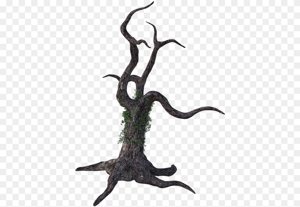 Dead Tree Bark Ivy Limbs Wood Forest Brown Trunk Illustration, Plant, Root, Animal, Lizard Free Png