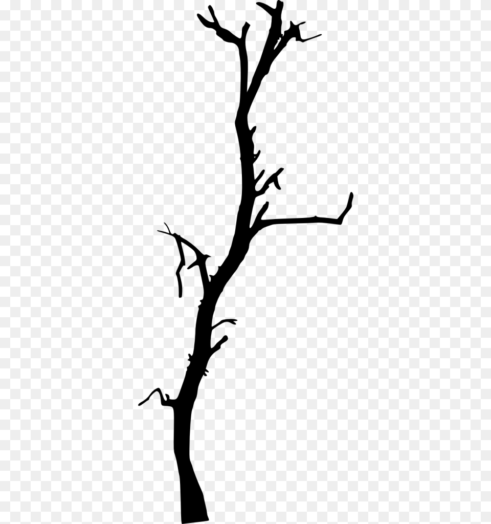 Dead Tree Branch, Gray Png Image