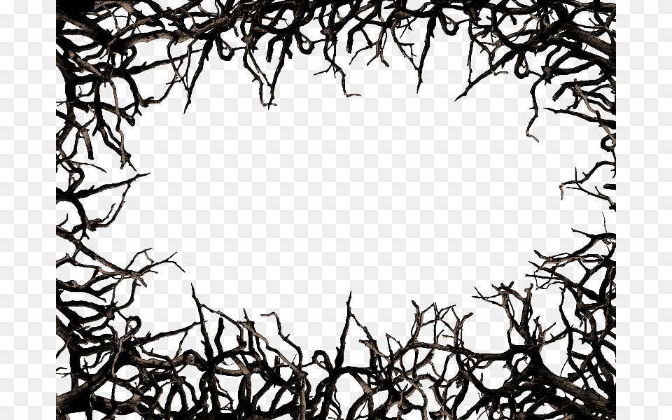 Dead Tree Branch Frame Border Clipart Tree Branch Border, Nature, Night, Outdoors, Pattern Png