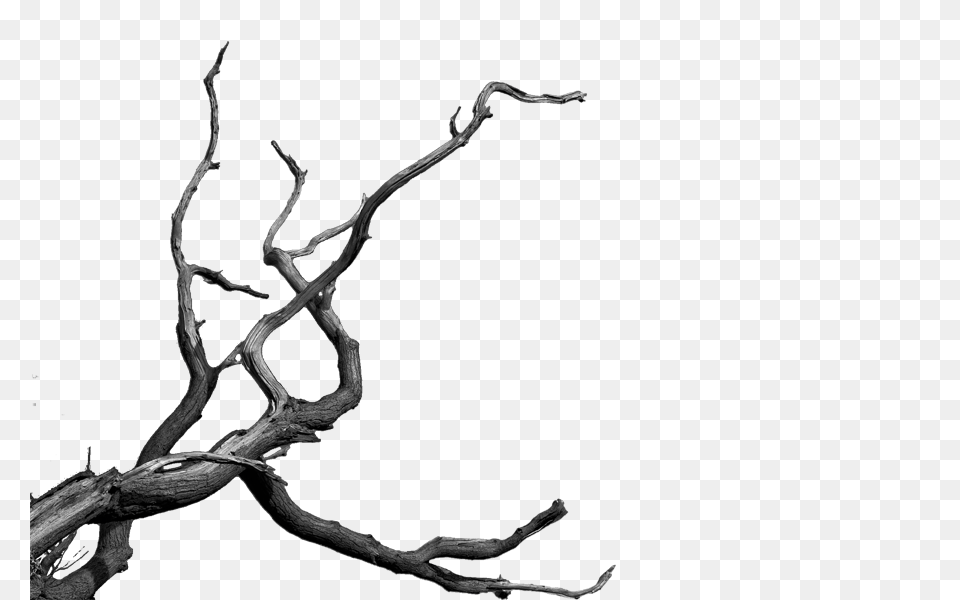 Dead Tree Cartoon, Wood, Driftwood, Art Free Png Download