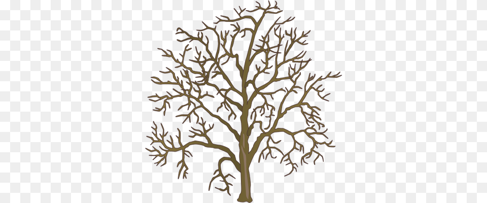 Dead Tree Clipart Barren, Pattern, Plant, Wood, Art Free Png Download