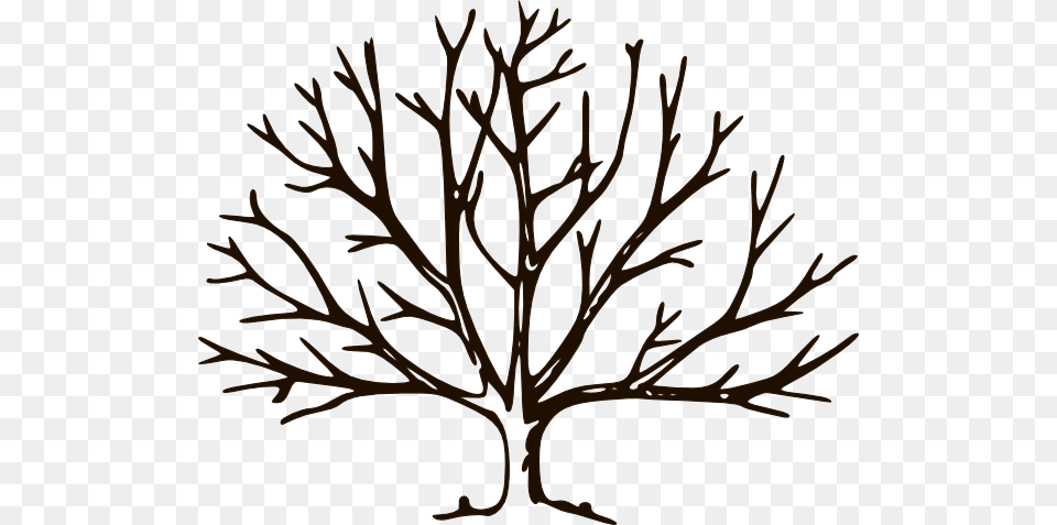 Dead Tree Clipart Empty, Art, Plant, Drawing, Leaf Png Image
